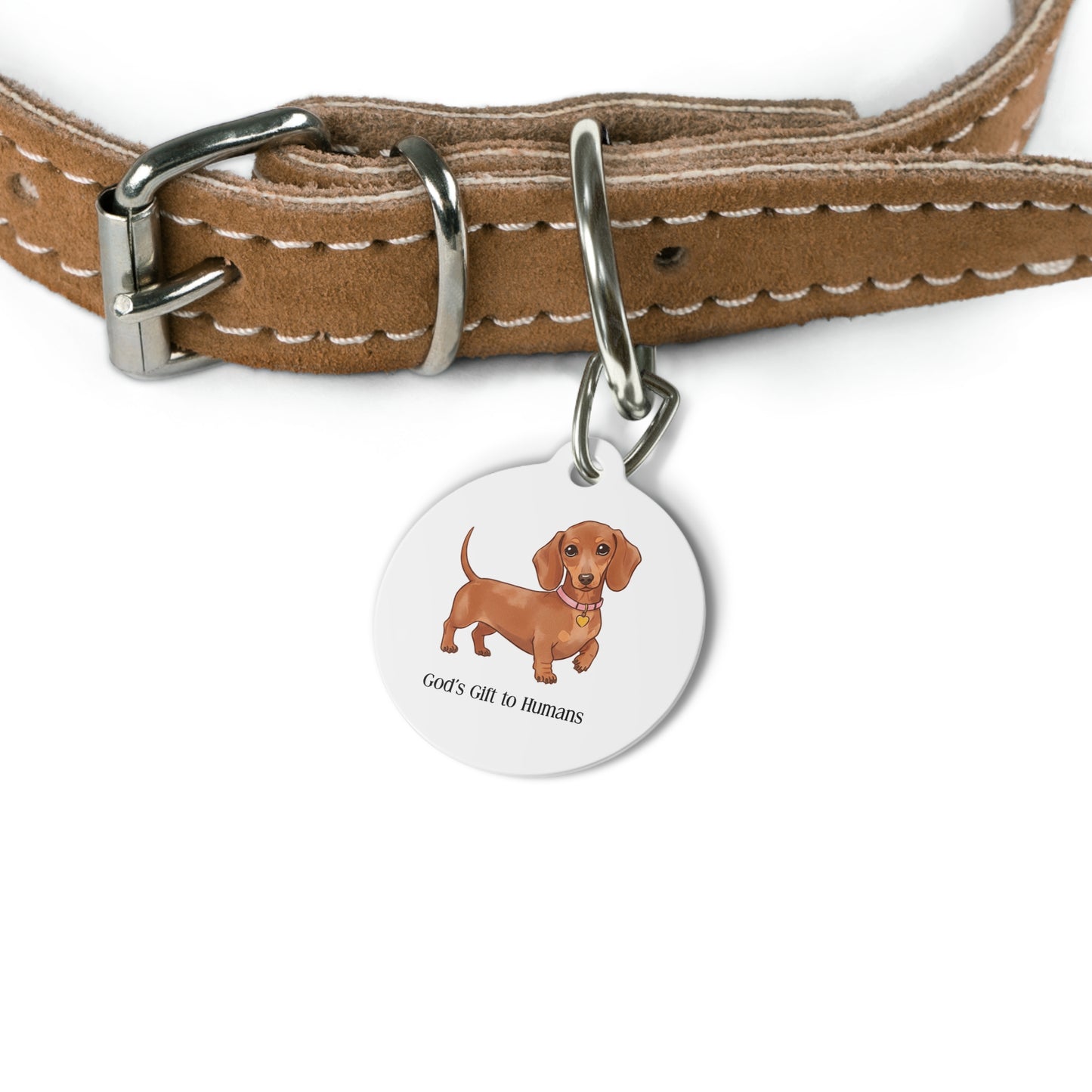 Whimsical Dog Tag for Pets, Personalized Pet ID, Dog Lover Gift, Custom Pet Accessory, God’s Gift to Humans Tag