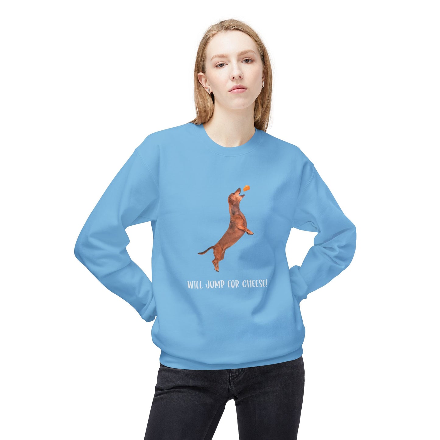 Playful Dachshund Crewneck Sweatshirt, Dog Lover Apparel, Cozy Gift for Pet Owners, Cute Dachshund Sweatshirt, Fleece Dog Sweatshirt