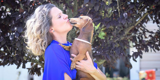 From Our Heart to Your Home: The Story Behind The Darling Dachshund